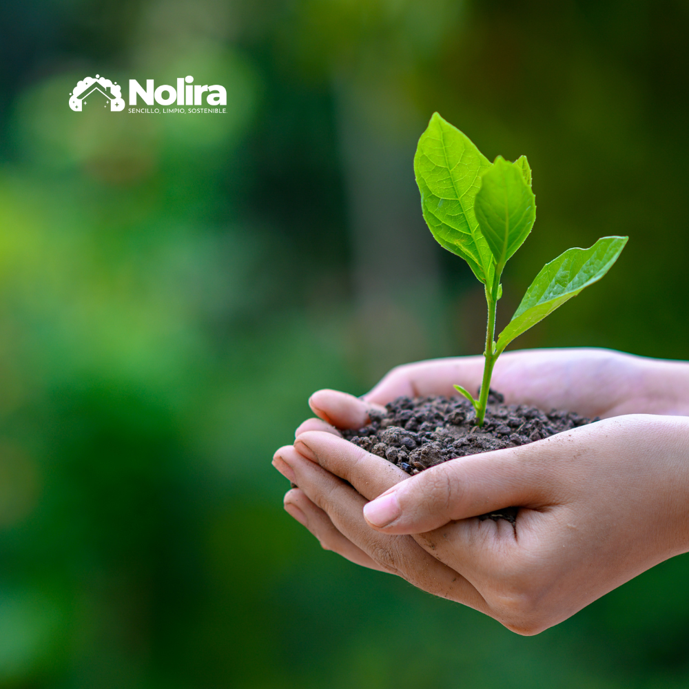 Nolira apuesta por el cambio