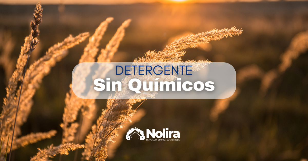 Detergente sin químicos para lavar ropa: ofertas ecológicas que cuidan tu hogar